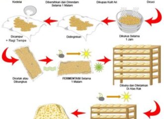 Cara Membuat Tempe [Benar dan Enak] Beserta Gambar