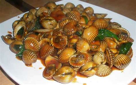 Cara memasak kerang dara saus tiram TOMPEELE