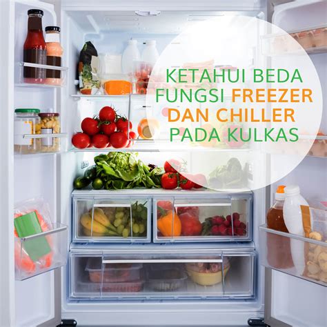 Berapa settingan suhu yang ideal untuk kulkas dan freezer ? Purba Kuncara