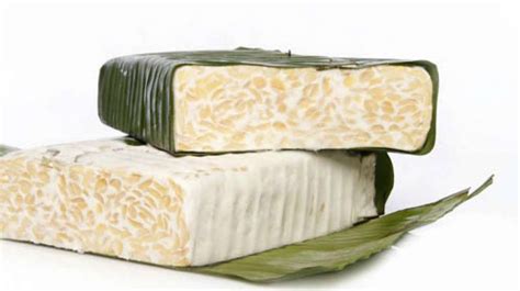 Laporan Pembuatan Tempe