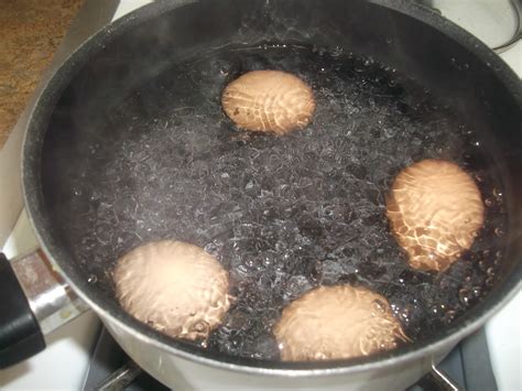 Cooking 7 Teknik Memasak
