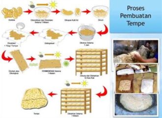 Gambar Cara Pembuatan Tempe