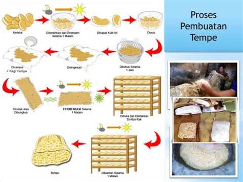 Gambar Cara Pembuatan Tempe