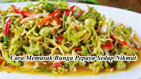 15+ Tumis Bunga Pepaya Enak